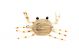 Alphonse Crab Salzwasserfliege
