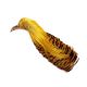 Veniard Golden Pheasant Complete Head Goldfasan - 2nd Quality
