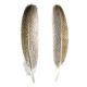 Veniard Turkey Oak Mottled Wing Quills - 1st Quality