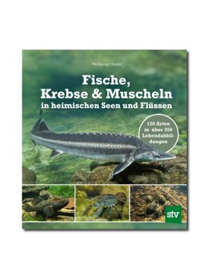 Fische, Krebse & Muscheln in heimischen Seen und Flüssen - Wolfgang Hauer